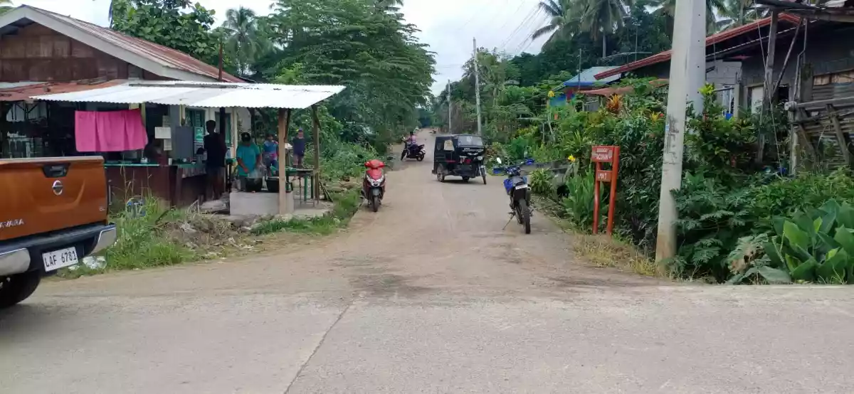 4 Hectares Lot for Sale Tacunan Tugbok Davao City — Residential Lot in Tugbok, Davao City, Davao del Sur — Photo 5