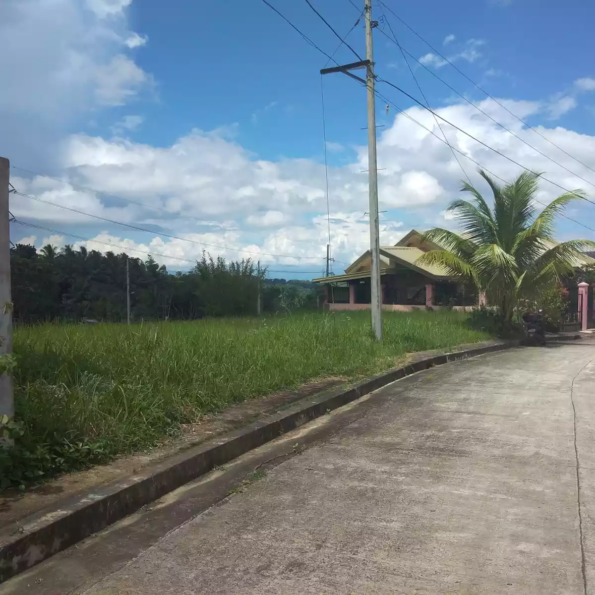 269sqm lot only for sale inside san josemaria village toledo cebu  - photo 3