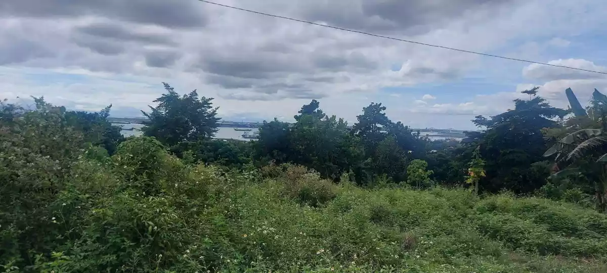 Lot for Sale-Overlooking Mactan channel