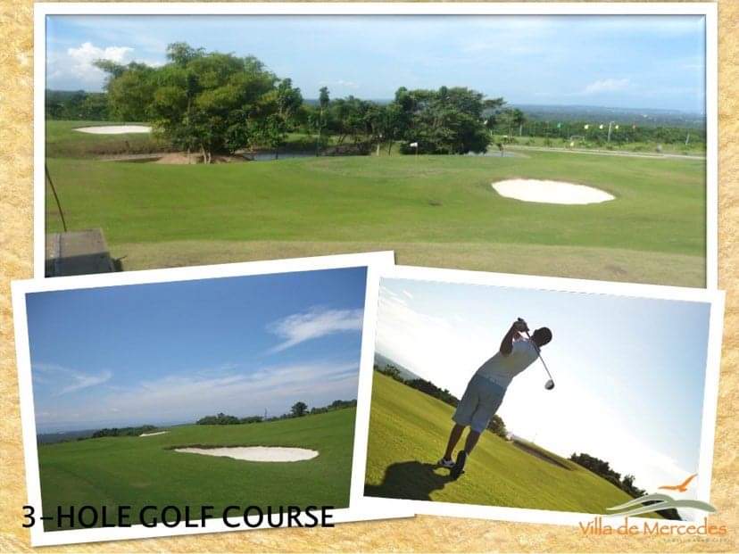 VILLA DE MERCEDES PRIME  250SQM LOT FOR SALE - photo 3