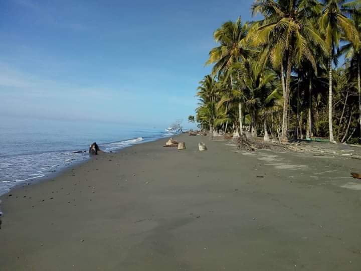 For sale beach Lot in Sarangani — Beach Lot in Sarangani, Philippines — Photo 4