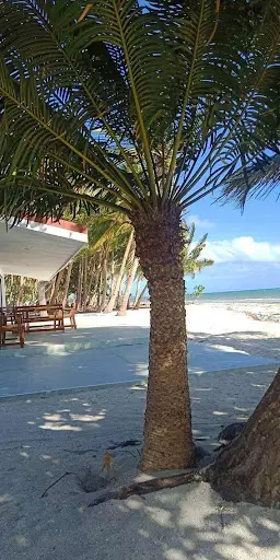 Beach Lot — Beach Lot in Philippines — Photo 6