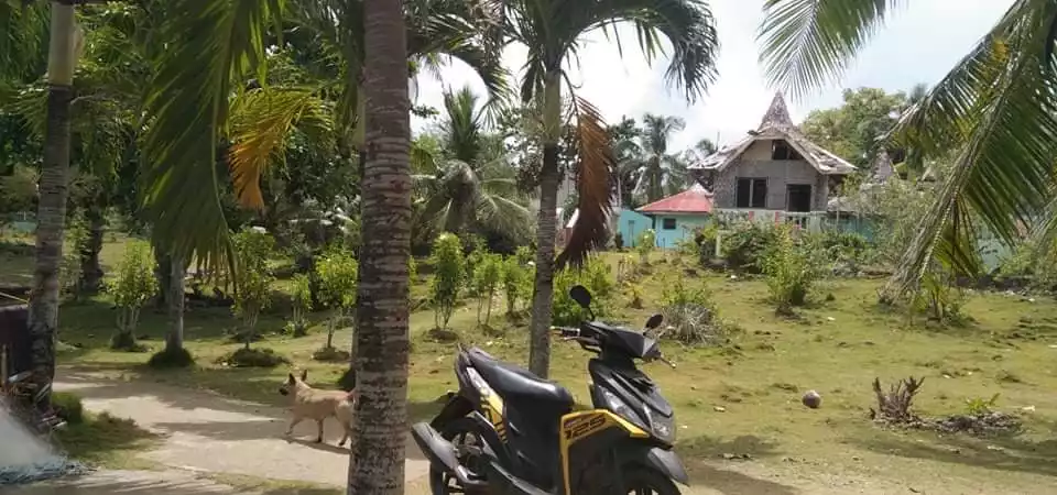 BEACH RESORT IN ANDA, BOHOL - photo 2
