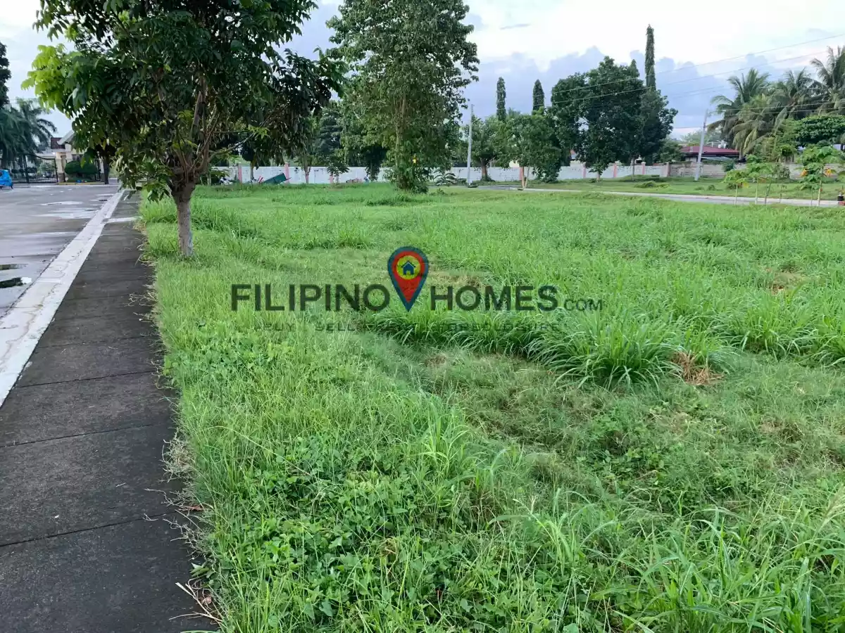 6 LOTS in COLINAS - photo 6