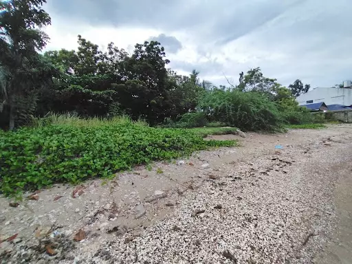 Beachfront lot for sale — Beach Lot in Carmen, Cebu, Philippines — Photo 3
