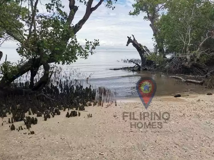 Beach Lot For Sale 