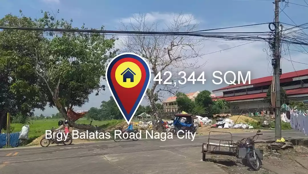 LOT For Sale in Naga City - photo 2