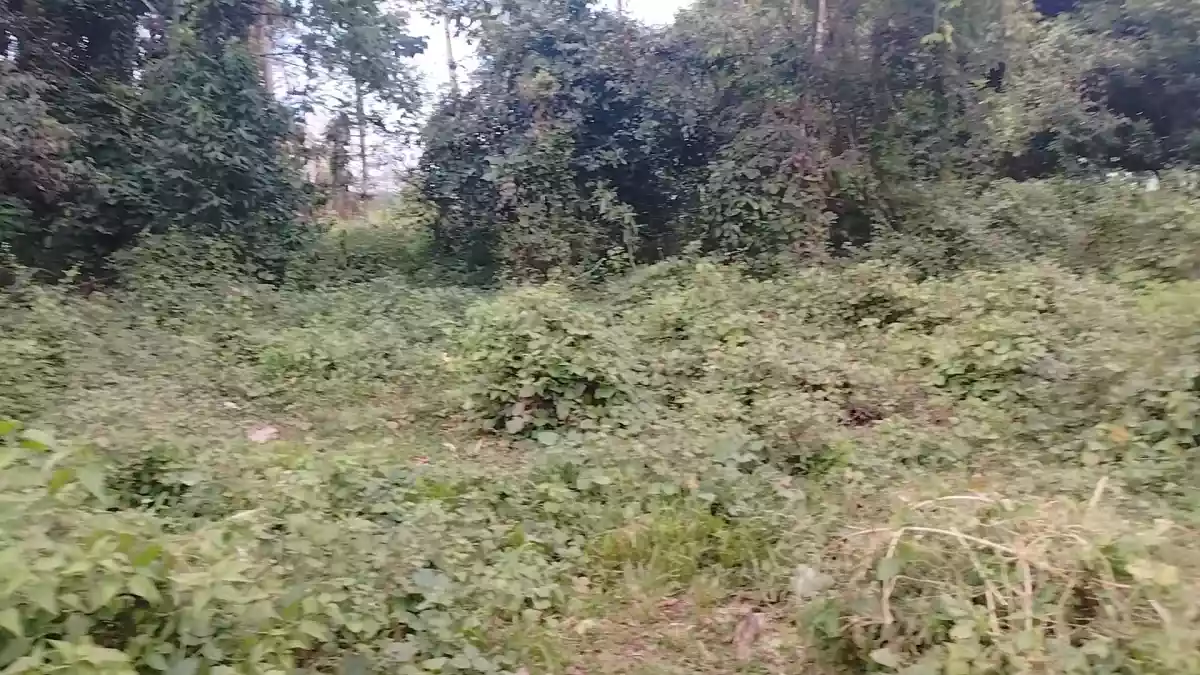 LOT FOR SALE!!! - photo 6