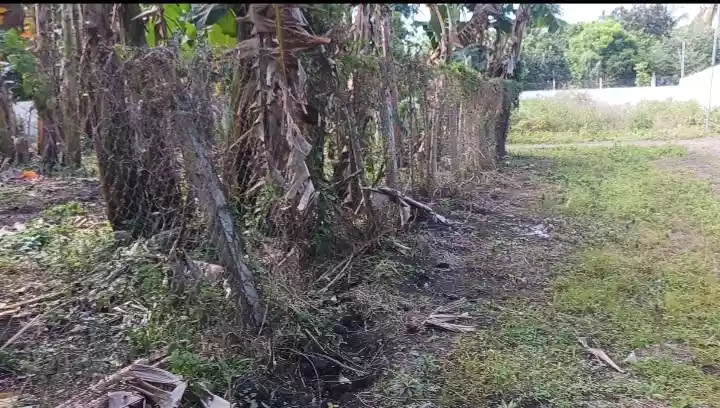 Affordable Lot in Polomolok - photo 7