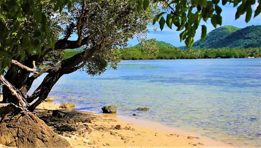 Island for sale 1.5 Hectares Balabugan Isaland in Palawan — Island in Philippines — Photo 7