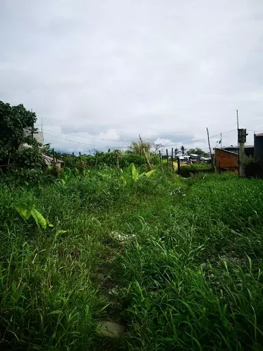 RUSH LOT FOR SALE — Residential Lot in Naga, Camarines Sur, Philippines — Photo 3