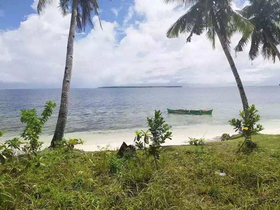 Beach Lot For Sale in Gen. Luna, Siargao Island — Beach Lot in Malinao Road, General Luna, Surigao del Norte — Photo 3