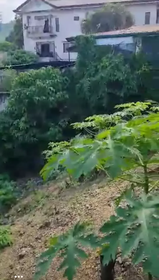 Residential Lot for Sale in SunnyHills Subdivision, Talamban Cebu - photo 3