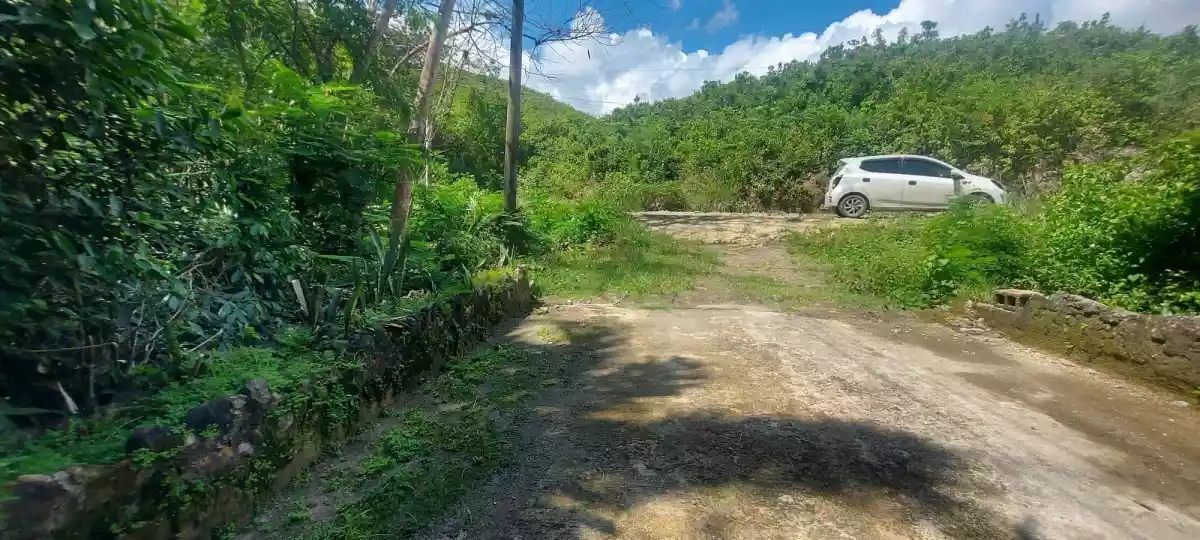 Lot for sale - photo 4