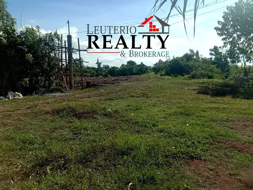 Agri Land — Agricultural Lot in Naga, Camarines Sur, Philippines — Photo 2