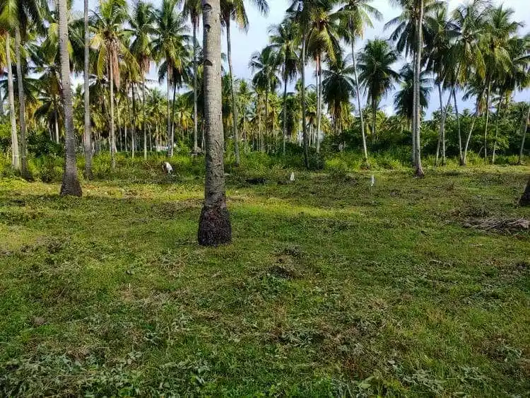 Residential in maayong tubig - photo 3