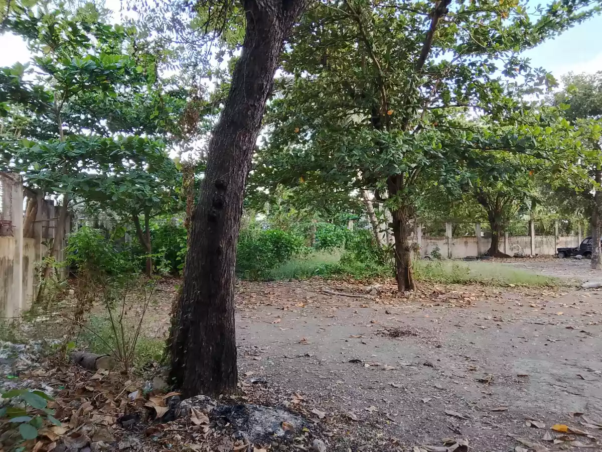 Beach Lot in Talisay, Cebu