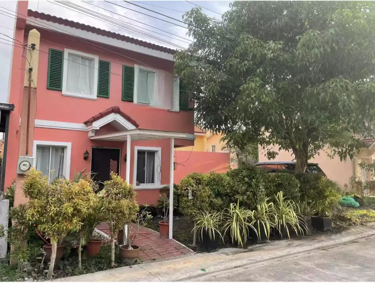 CAMELLA AMY FOR SALE - photo 4