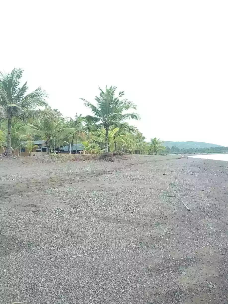 Beach lot  - photo 6