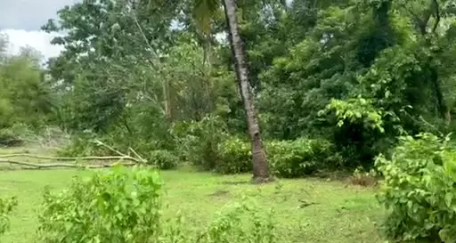 LAND — Residential Lot in Antique, Philippines — Photo 5
