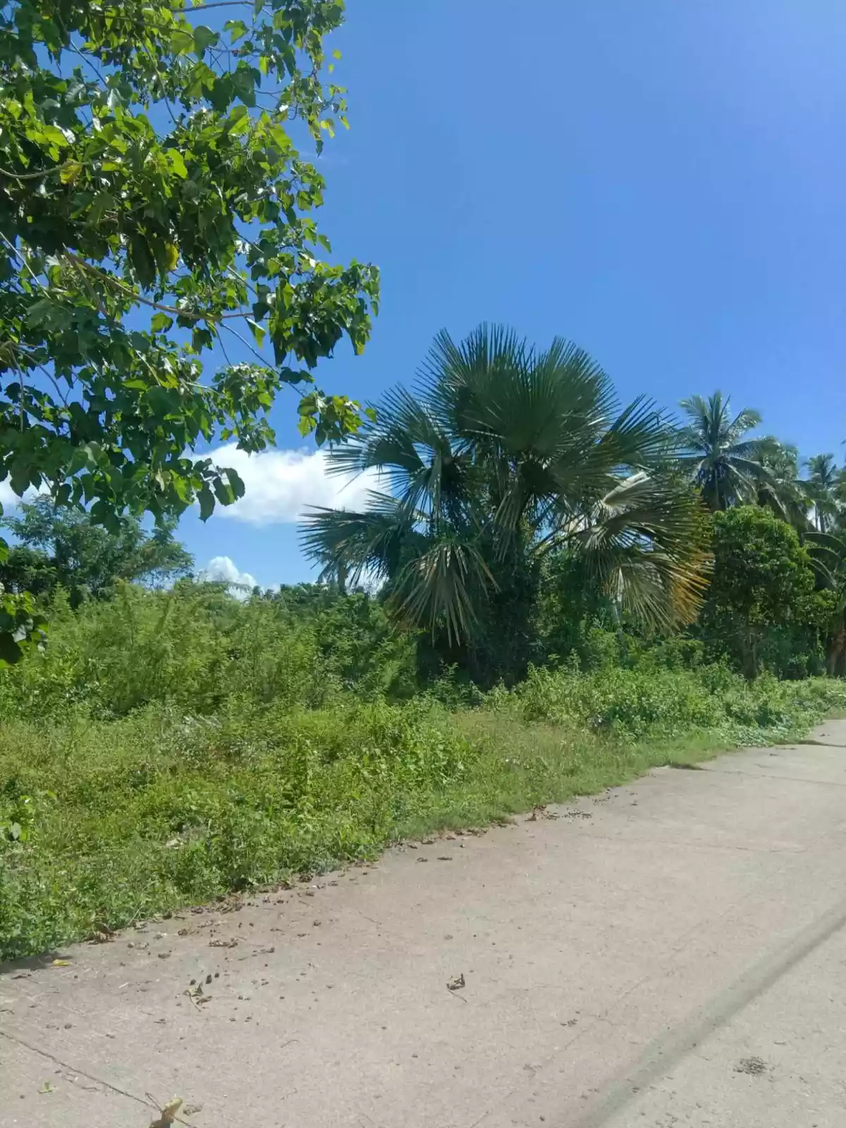 Lot for Sale — Industrial Lot in Liloan, Cebu, Philippines — Photo 6