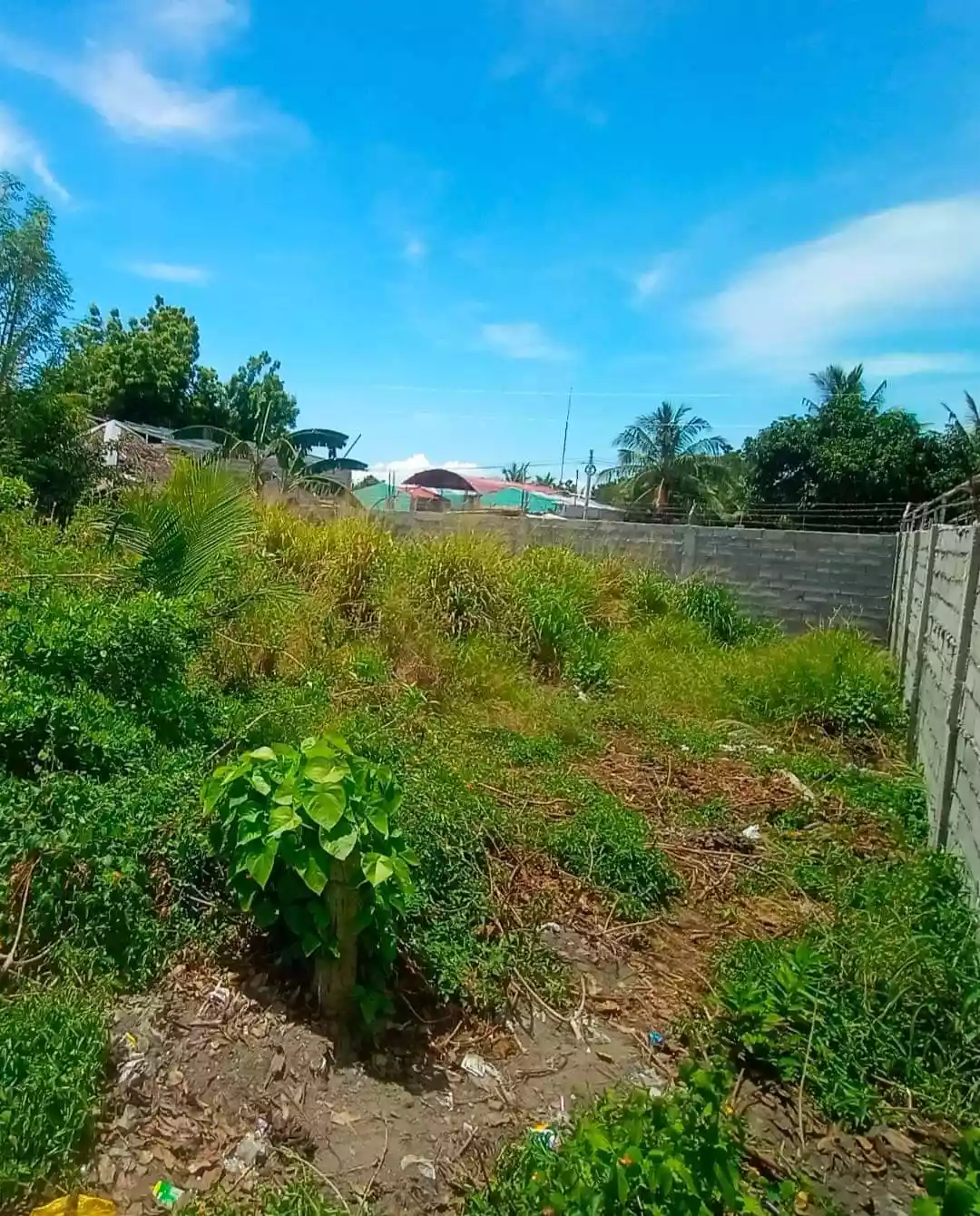 For Sale 300sqm Residential Lot l Mabuhay - photo 4