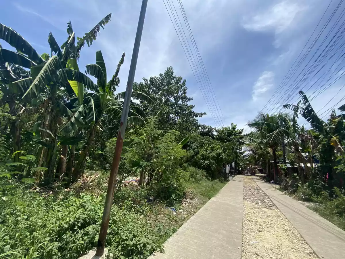 Alegria Cordova Lot for Sale — Residential Lot in Cordova, Cebu, Philippines — Photo 7