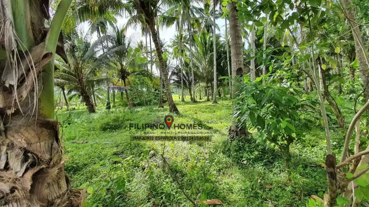 21 Hectares Beach for Sale  at Cablalan, Glan — Beach Lot in Sarangani, Philippines — Photo 2