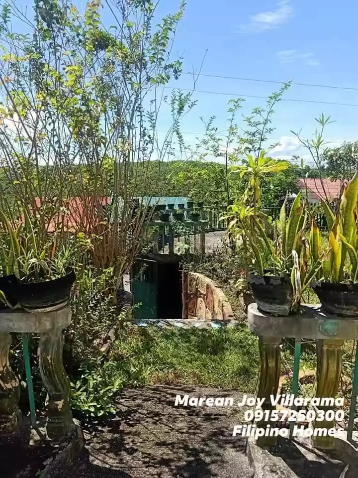 196SQM Home Property with Sari-sari Store — House and Lot in Danlag, Consolacion, Cebu — Photo 6