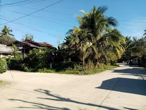 200sqm Corner Lot Green Village — Residential Lot in Bayugan City, Agusan del Sur, Philippines — Photo 5