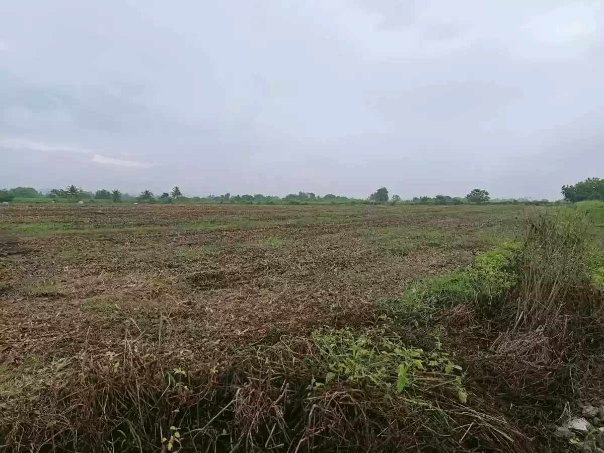 Farm lot — Agricultural Lot in South Cotabato, Philippines — Photo 2