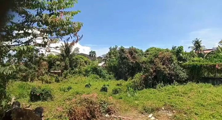 LOT FOR SALE — Residential Lot in Minglanilla, Cebu, Philippines — Photo 6