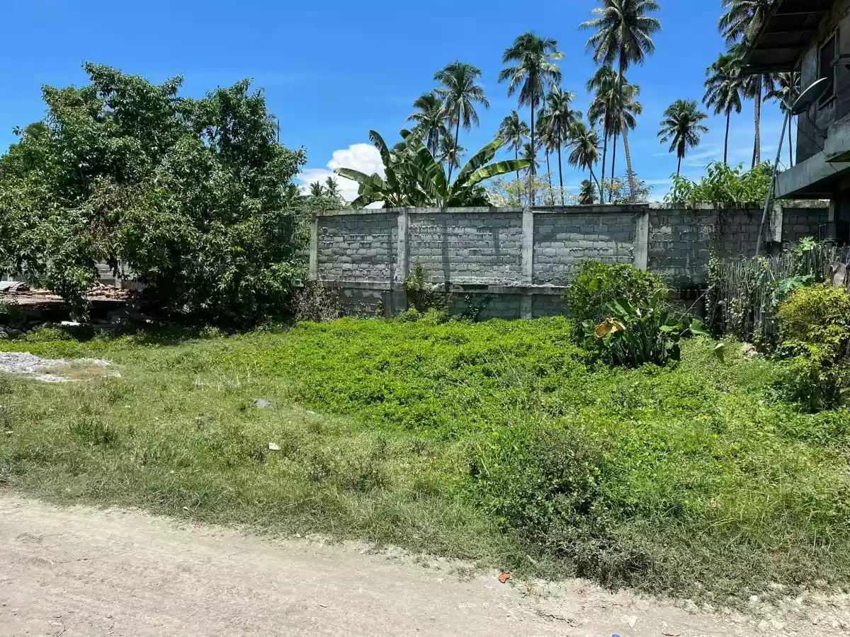 Residential Lot for Sale — Residential Lot in Iligan City, Lanao del Norte, Philippines — Photo 3
