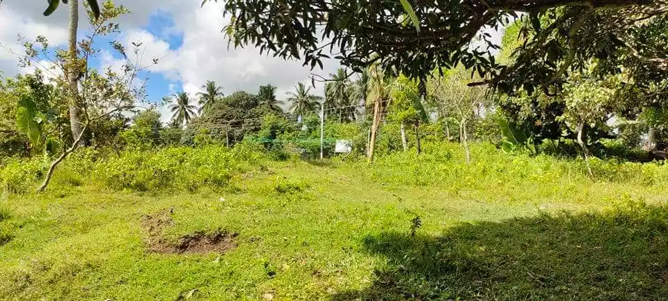 LOT FOR SALE IN BARILI, CEBU - photo 3