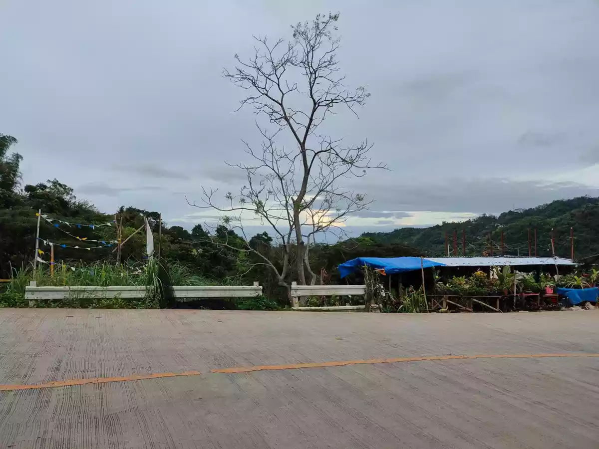 Lot along Hi-way of Transcentral Babag, Cebu City — Agricultural Lot in Apas, Cebu City, Cebu — Photo 5