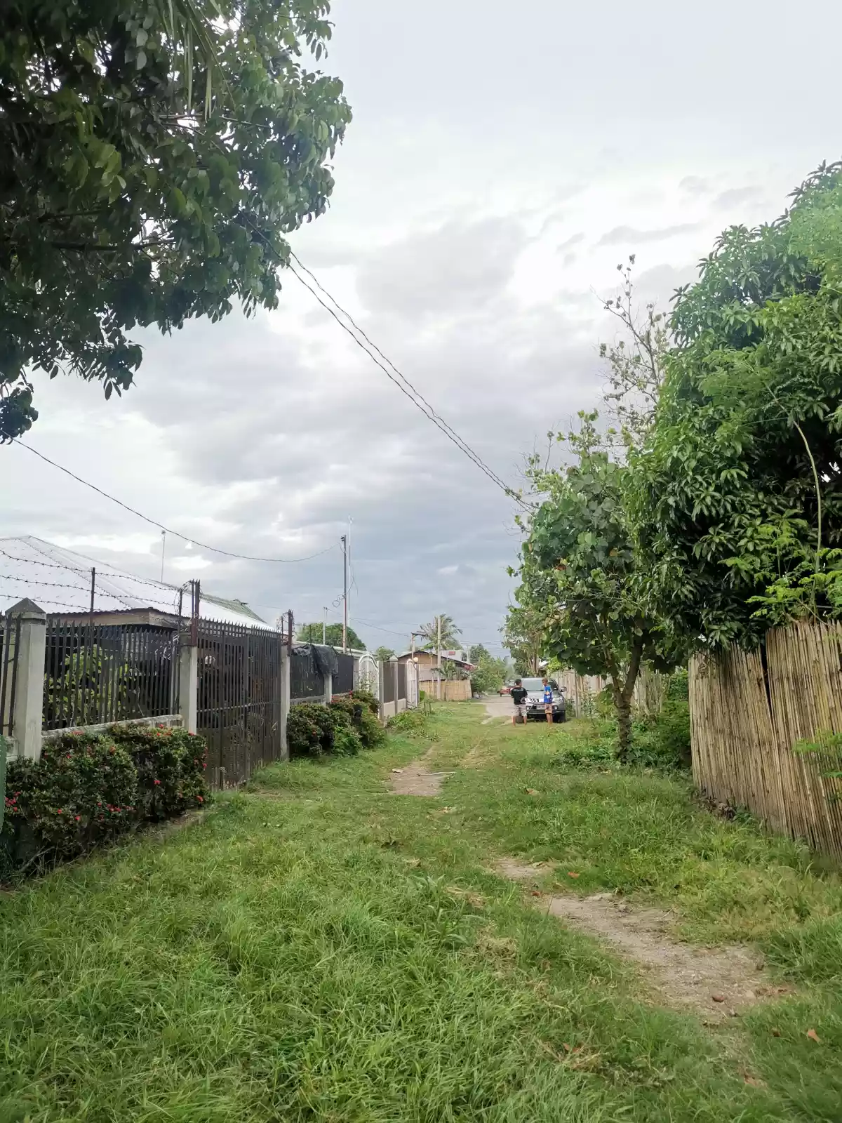 398 sqm corner Lot at Manansala Subdivision Mabuhay.  - photo 5