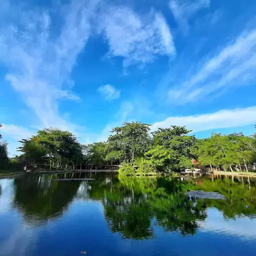 Income Generating Nature's Park in Magay, Compostela — Agricultural Lot in Compostela, Cebu, Philippines — Photo 7