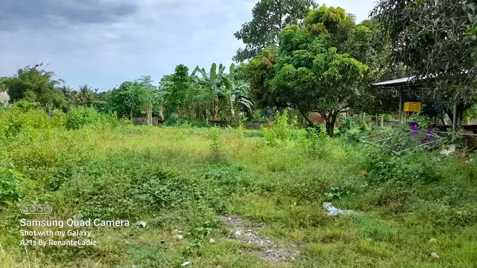 For Sale Lot 1796 sqm Tubod Minglanilla Cebu - photo 4