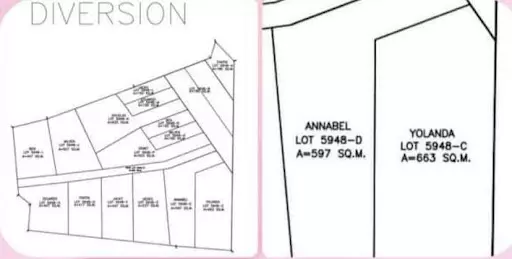 Residential lot in Dumaguete — Residential Lot in Dumaguete, Negros Oriental, Philippines — Photo 4