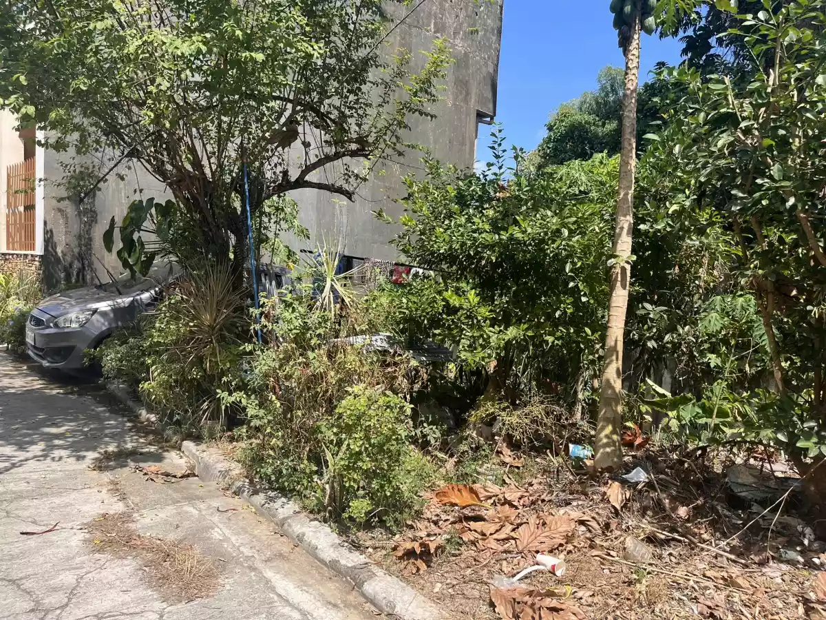 Lot for Sale in Centro Talamban, Cebu City - photo 4