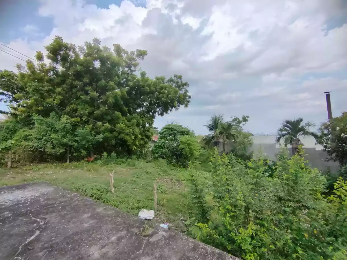 FOR SALE Lot in Tayud, Consolacion, Cebu — Agricultural Lot in Consolacion, Cebu, Philippines — Photo 4