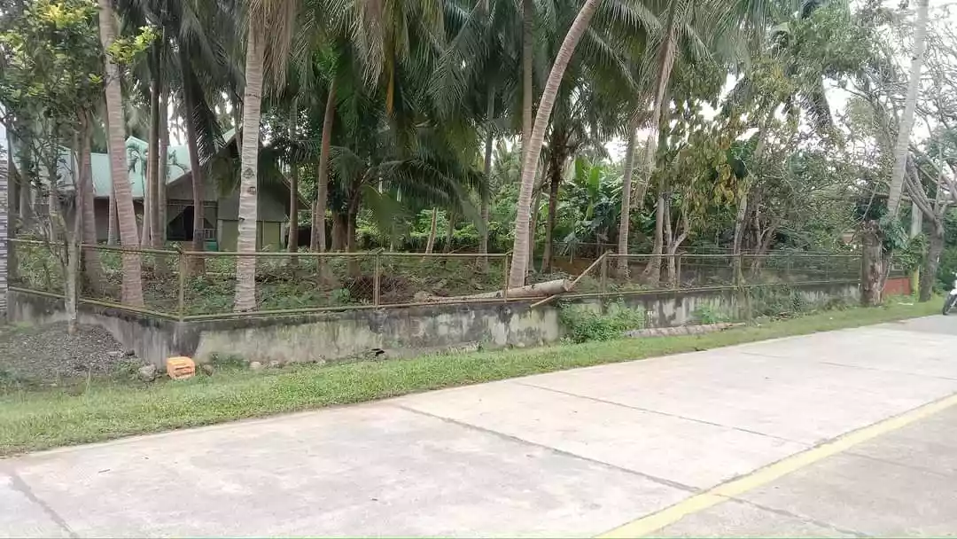 Residential Lot for Sale In Panglao Bohol - photo 3