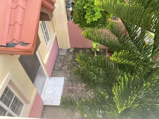 Open photo 18 of 19 — Lovely as a tree. Price is negotiable 