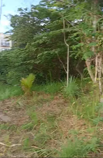 Residential Lot for Sale 