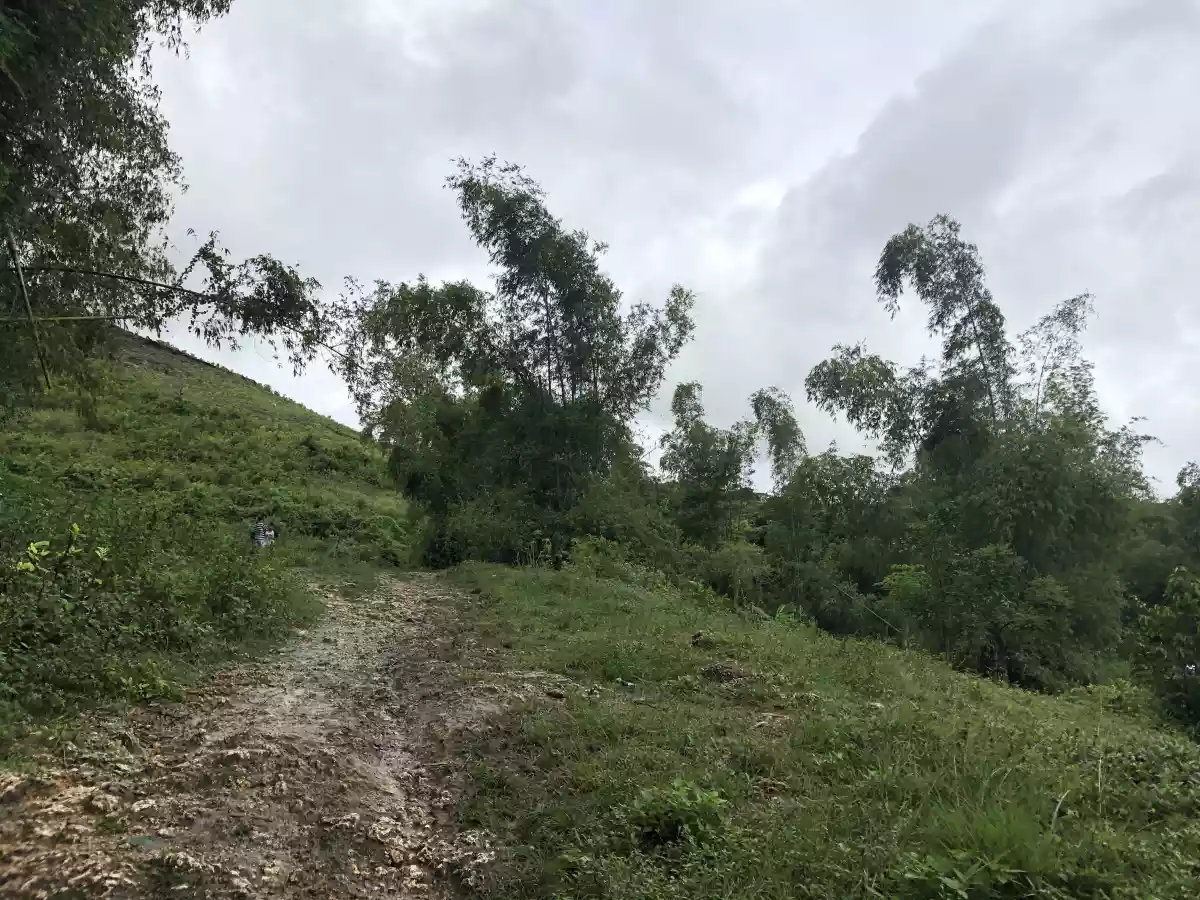 Lot for Sale Ideal for Warehouse or Pocketsized Subdivision - photo 4