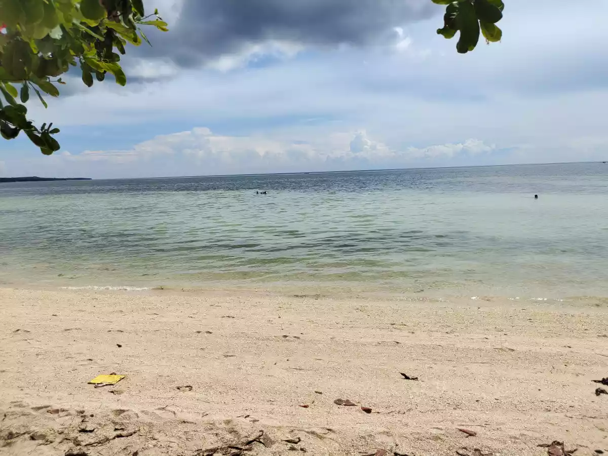 Beach lot - photo 3