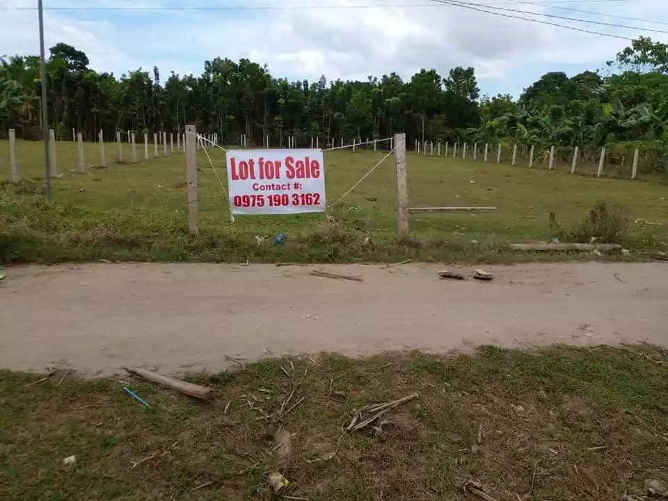 Clean Title Lot for Sale in Batinguel, Dumaguete City - photo 4
