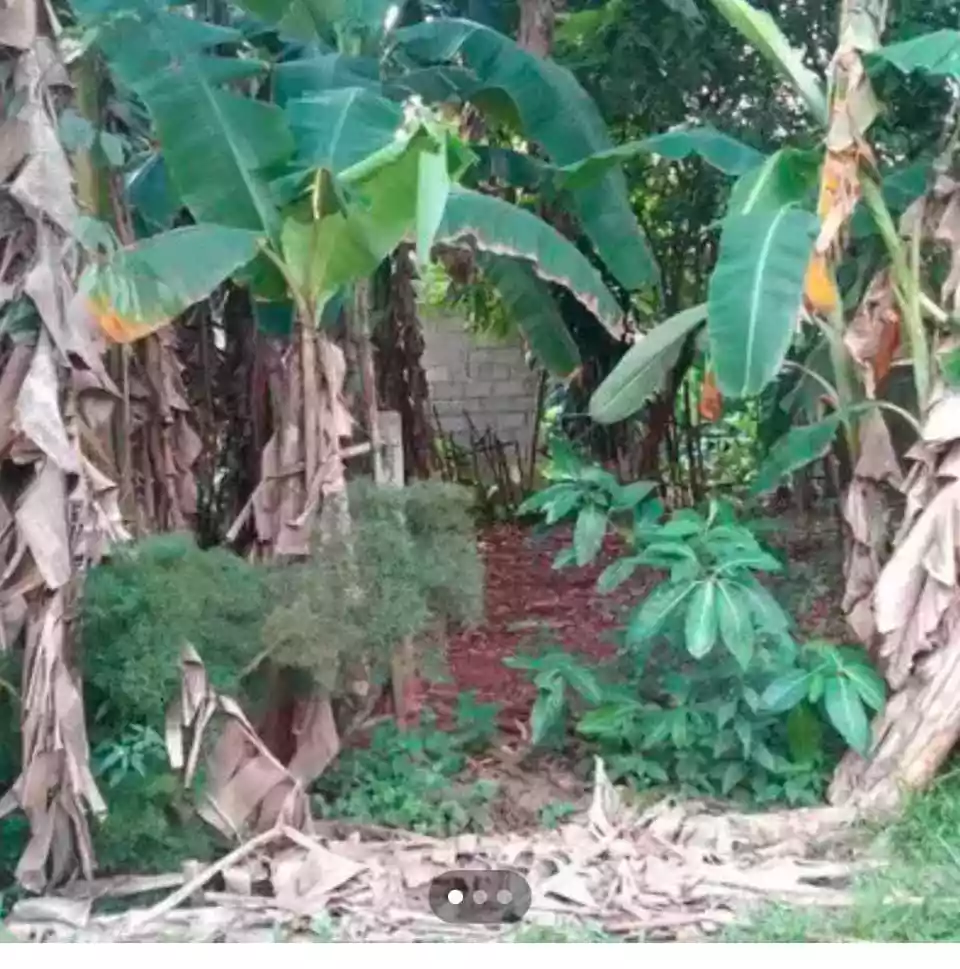 RESIDENTIAL LOT FOR SALE IN STA. MONICA PUERTO PRINCESA CITY