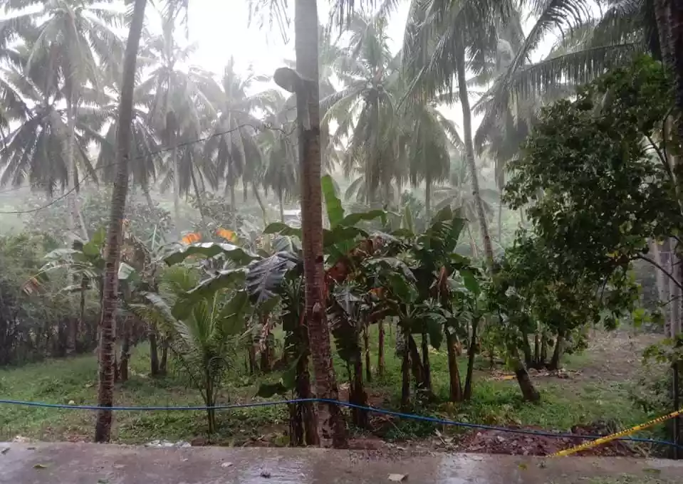 Agricultural Lot For Sale in Sitio Bali Bali Barangay Poblacion Compostela — Agricultural Lot in Cebu, Philippines — Photo 4