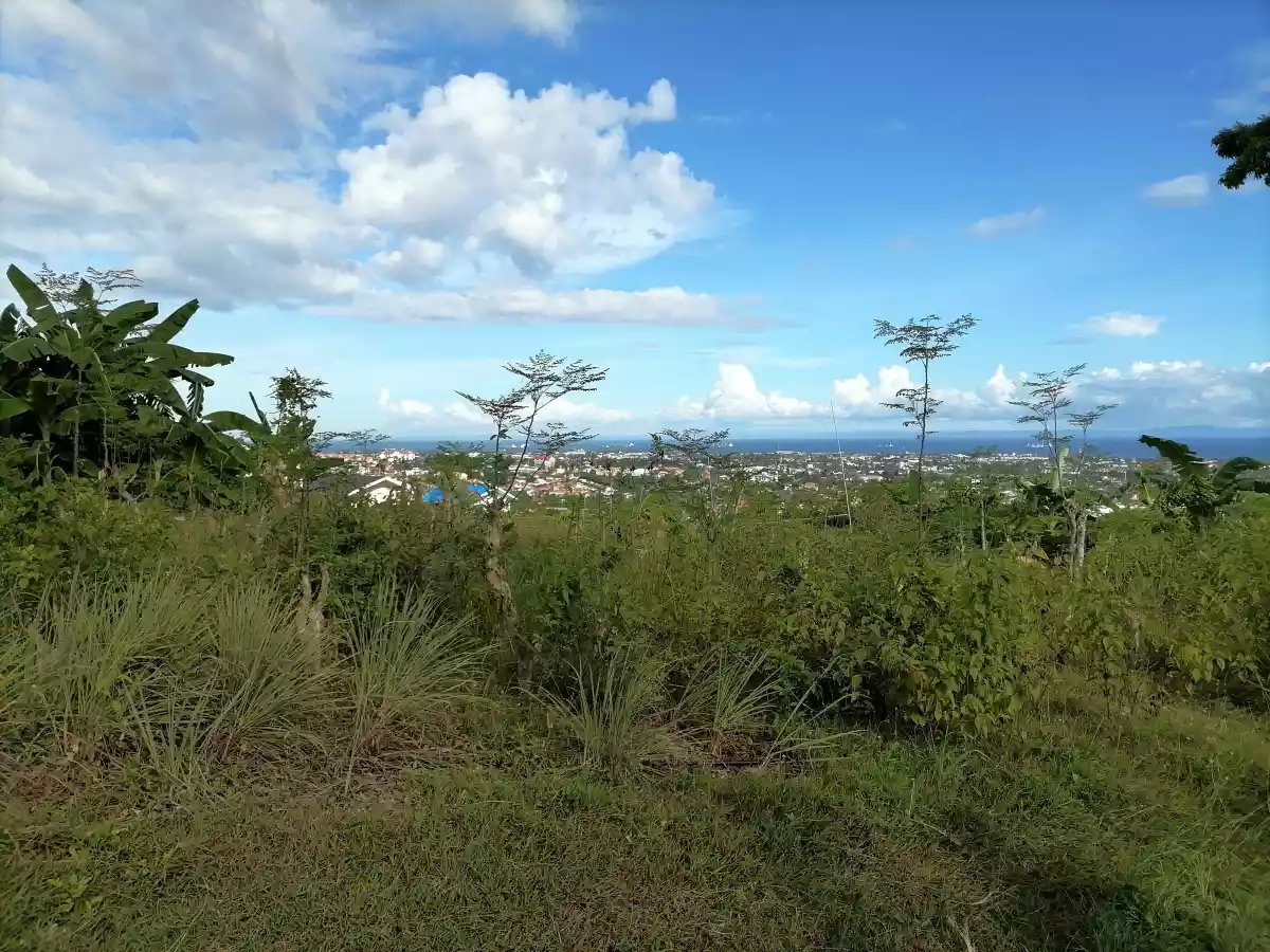 LOT ONLY FOR SALE - photo 6